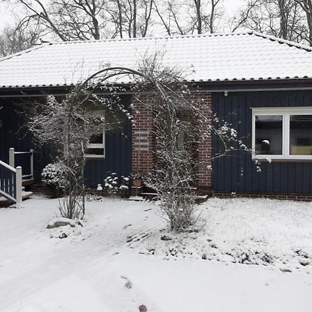 Ferienwohnung Am Freitagsbach Celle Exteriör bild